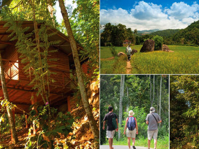 🌿 Eco Lodge Volunteering in the Heart of Nature – Kataragama, Sri Lanka 🇱🇰