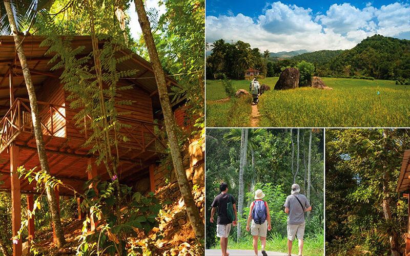 🌿 Eco Lodge Volunteering in the Heart of Nature – Kataragama, Sri Lanka 🇱🇰