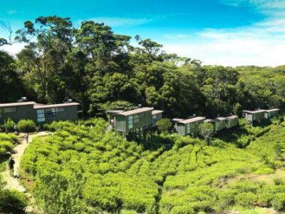 🌿 Eco Lodge Volunteering in the Heart of Nature – Kataragama, Sri Lanka 🇱🇰