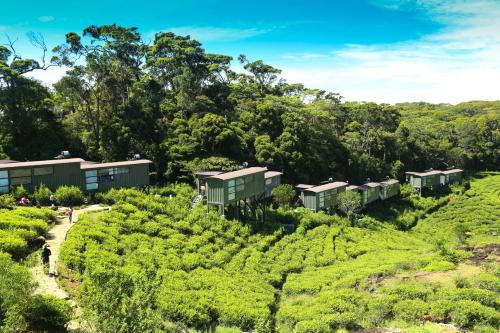🌿 Eco Lodge Volunteering in the Heart of Nature – Kataragama, Sri Lanka 🇱🇰