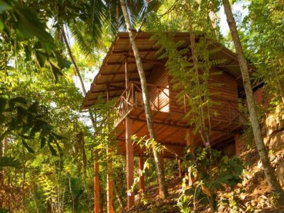 🌿 Eco Lodge Volunteering in the Heart of Nature – Kataragama, Sri Lanka 🇱🇰