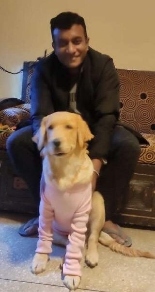 Dog Sitting & Home Helper in a Peaceful Family Setting