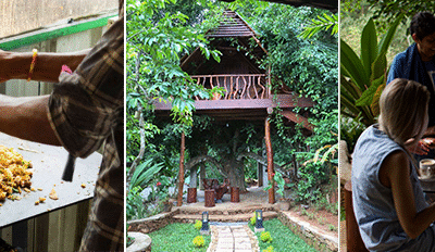 Share Your Skills & Experience Authentic Sri Lankan Hospitality at Our Peaceful Homestay in Kandy
