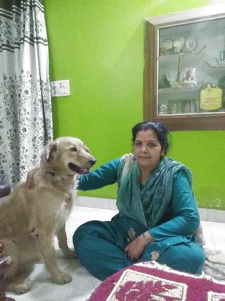 Dog Sitting & Home Helper in a Peaceful Family Setting